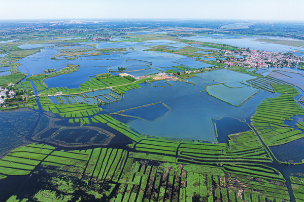 白洋淀生态清淤四期工程.png