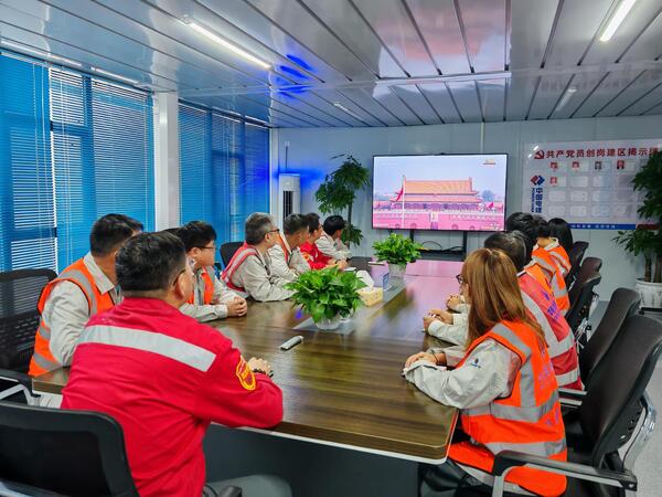 鉴黑担保网核电公司项目部组织员工寓目阅兵式.jpg